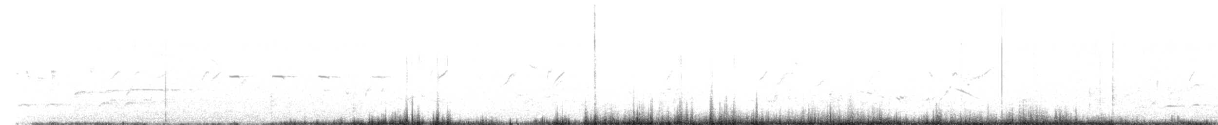 buse ou aigle sp. - ML505429641