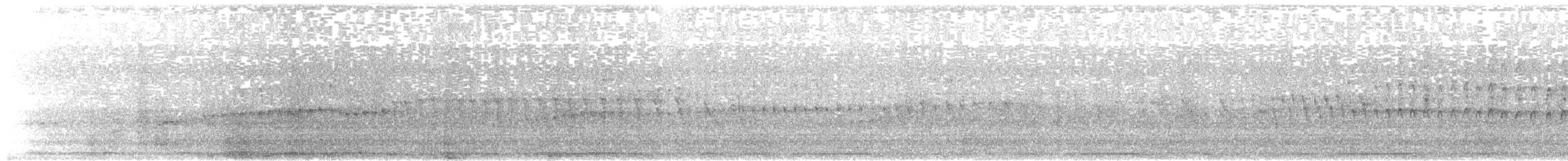 Alpine Swift - ML505437981