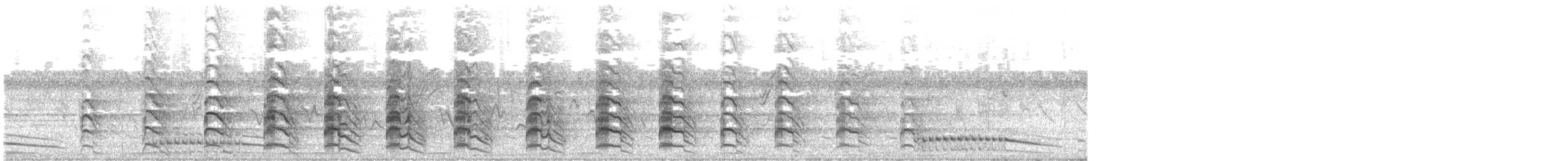 Кайеннский чибис - ML505449741