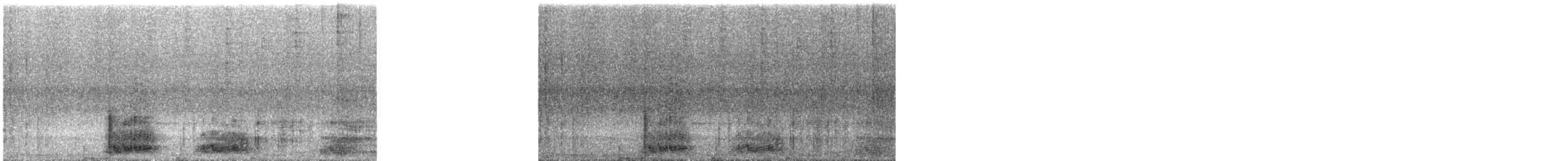 Silky-tailed Nightjar - ML505574671
