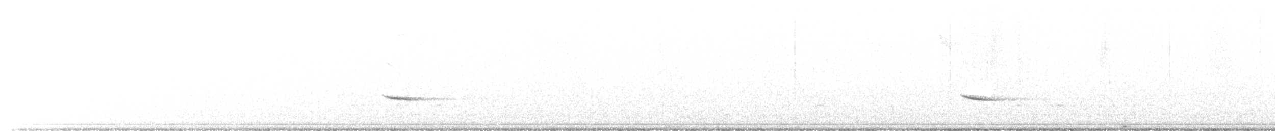 Дрізд-короткодзьоб плямистоволий - ML505602651