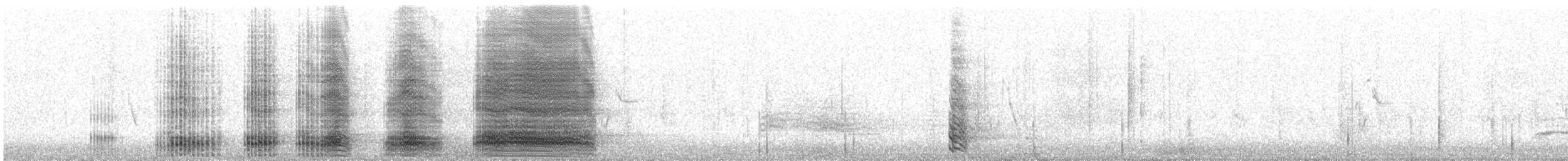 Rook - ML505628121