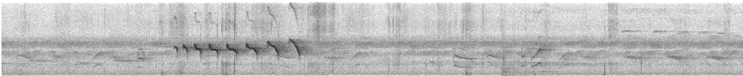 Kara Gerdanlı Karıncakuşu - ML505642531