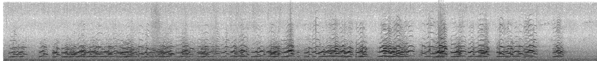 Zwergkanadagans (leucopareia) - ML505642761