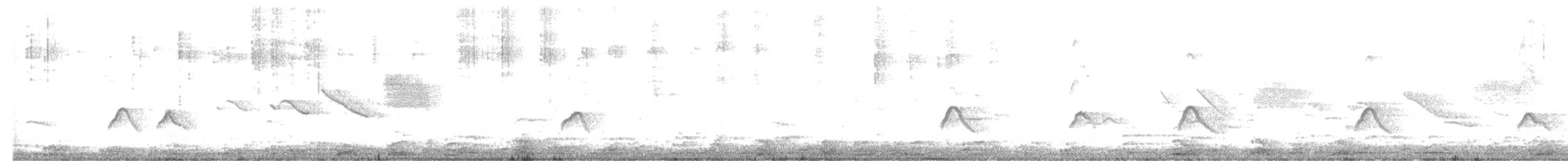 White-crested Elaenia - ML505685281