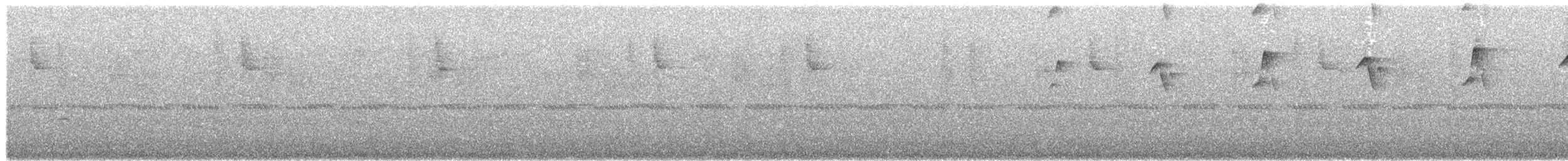 Пестрогрудый тираннчик - ML505693741