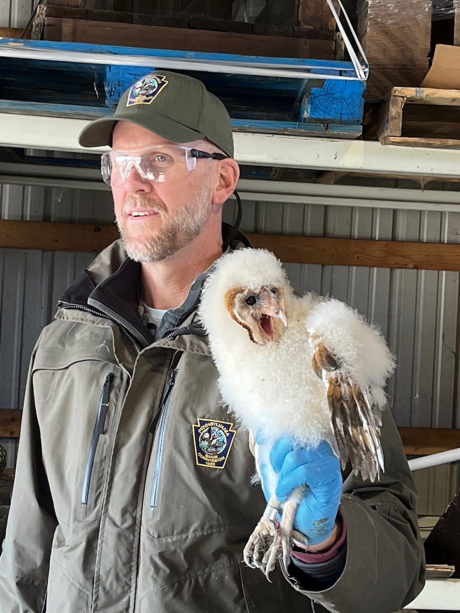 Barn Owl - Patty & John Werth