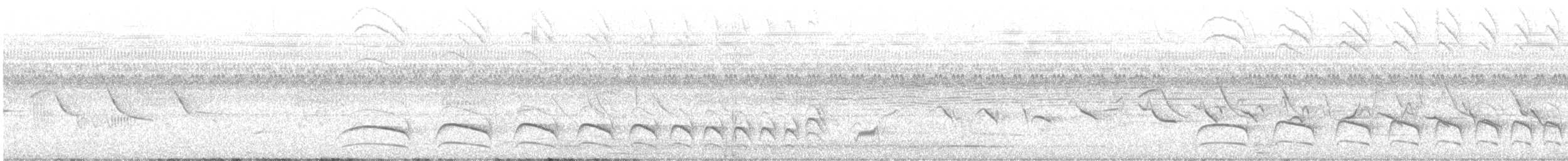 Rostscheitel-Ameisenwürger - ML505849551