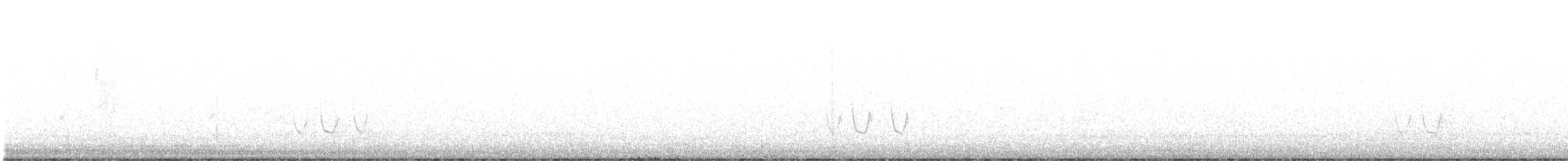 Rotsteiß-Spottdrossel - ML505849601