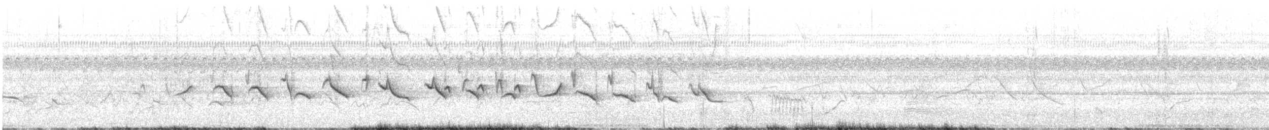 Braunbauchspelzer - ML505849611