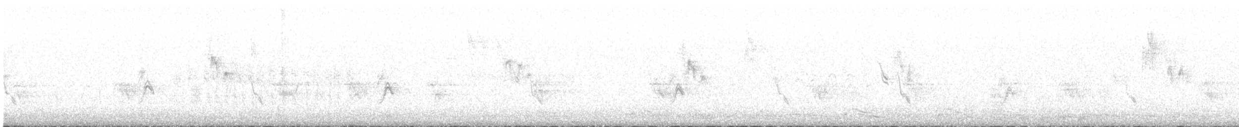 White Wagtail - ML505918341