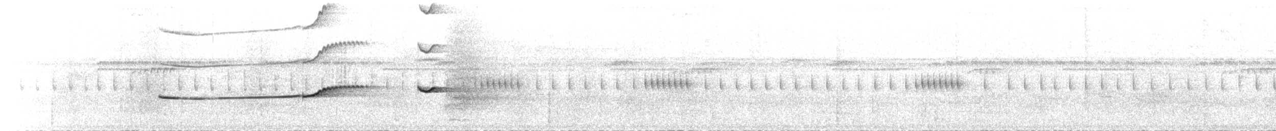 Northern Schiffornis - ML50592061