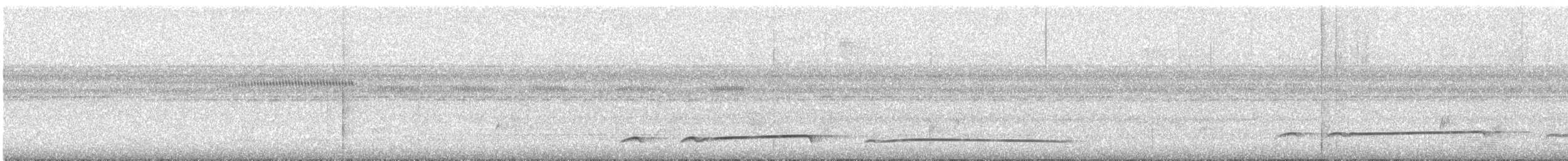 Лінивка-смугохвіст західна - ML505928421