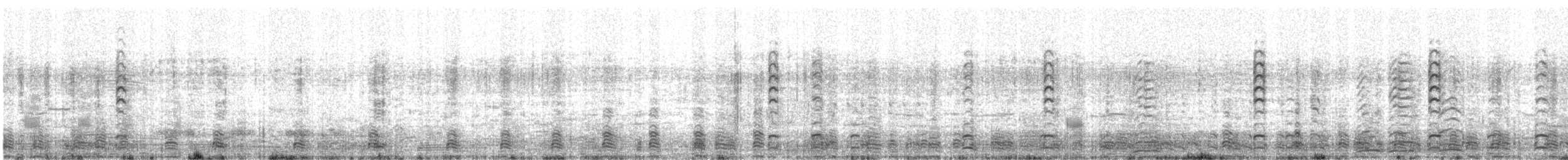 Zwergschneegans - ML505991121