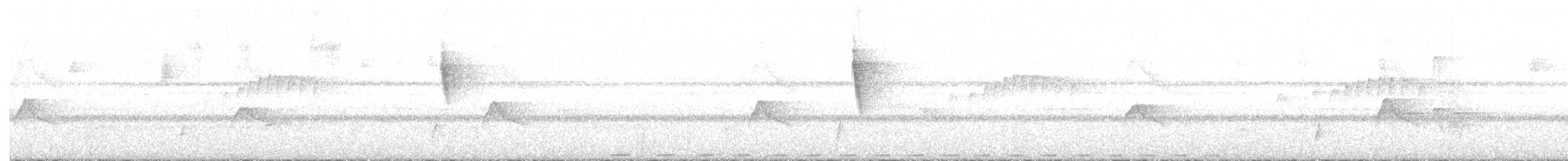 White-mantled Barbet - ML505994411
