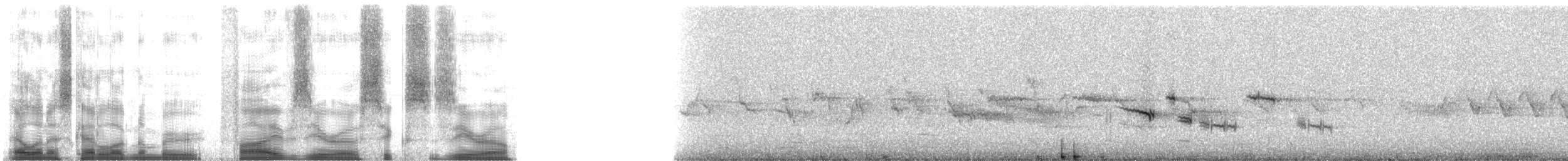 Picchion cramoisi - ML5060