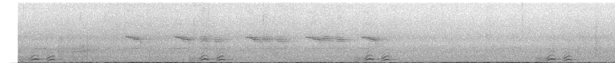 Сова-голконіг плямиста - ML506032241