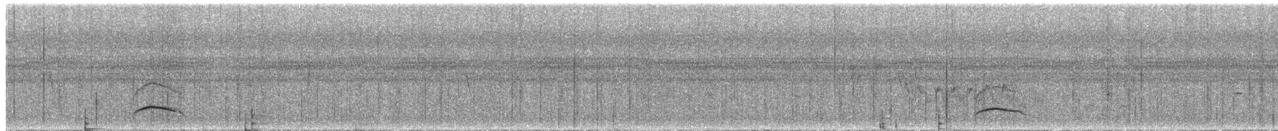 Graubrust-Olivtyrann - ML50615151