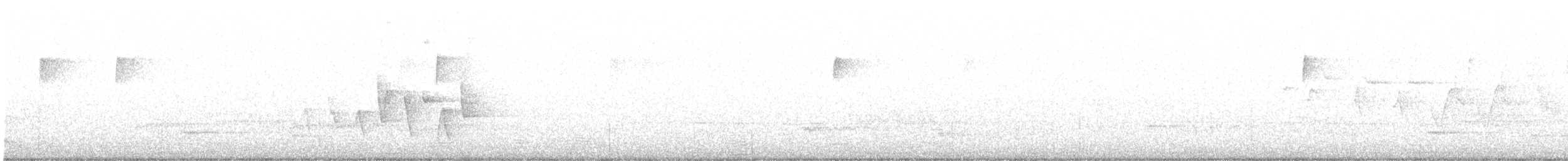 Connecticut Warbler - ML506175731