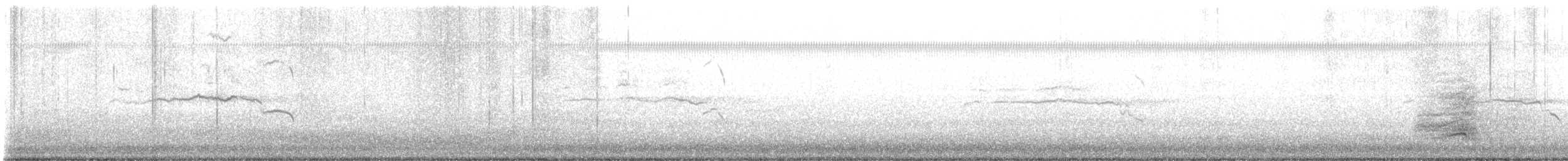 裏海燕鷗 - ML506186491