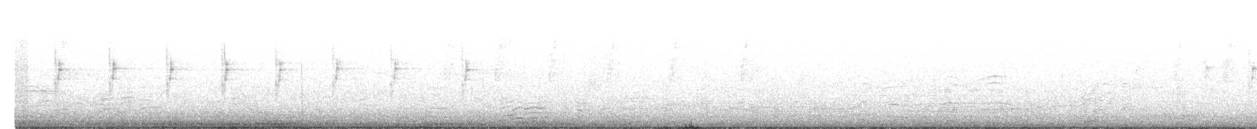 Сверкающий фиалкоух - ML506186501