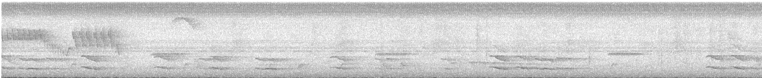 Toucan tocard (ambiguus/abbreviatus) - ML506232681