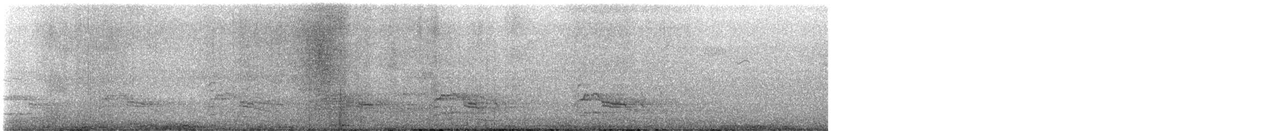 Red-shouldered Hawk - ML506254391