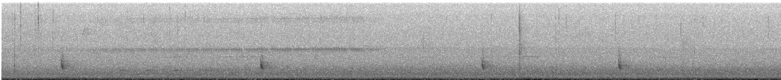 Hermit Thrush - ML506257811