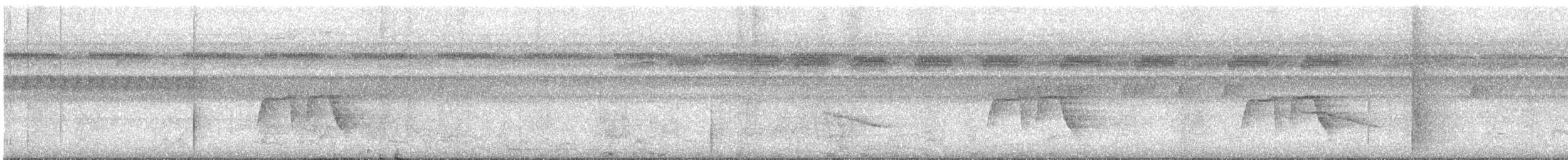 Мурав’янка-куцохвіст цяткована - ML506302301