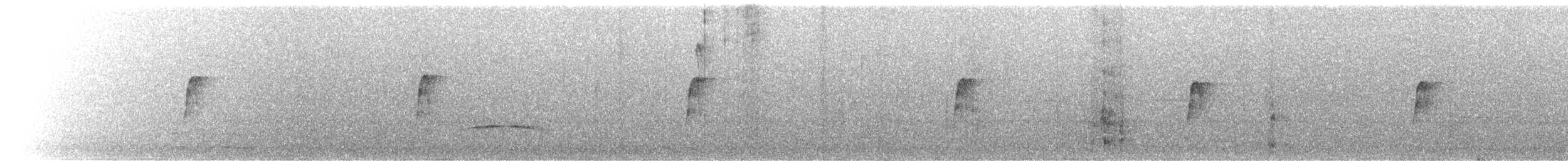Черноухий тираннчик - ML506311571