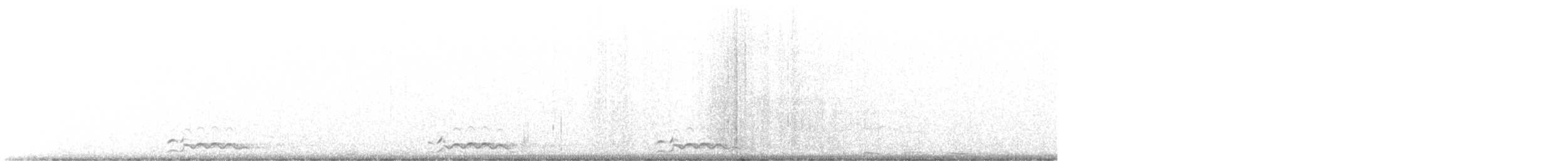 Common Loon - ML506335541