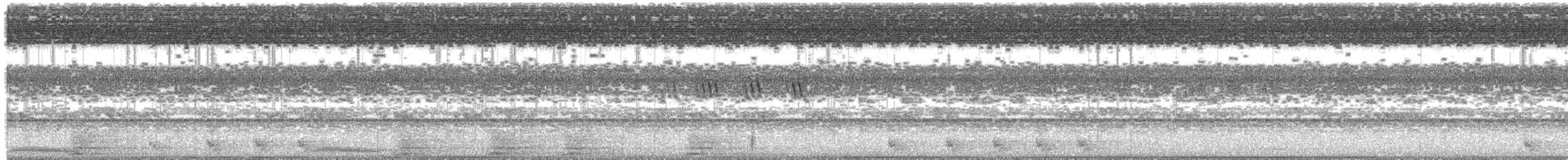 Chotacabras de Andamán - ML506410381