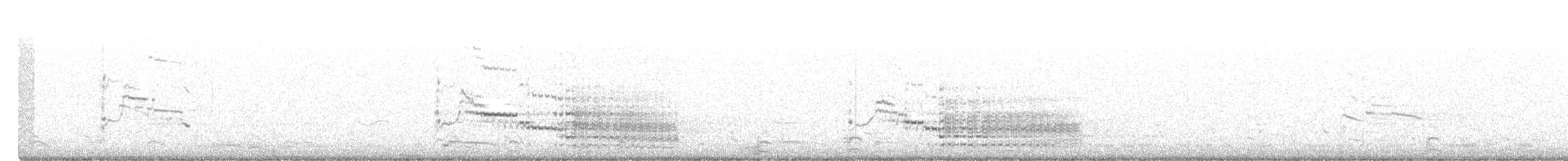 American Herring Gull - ML506450101