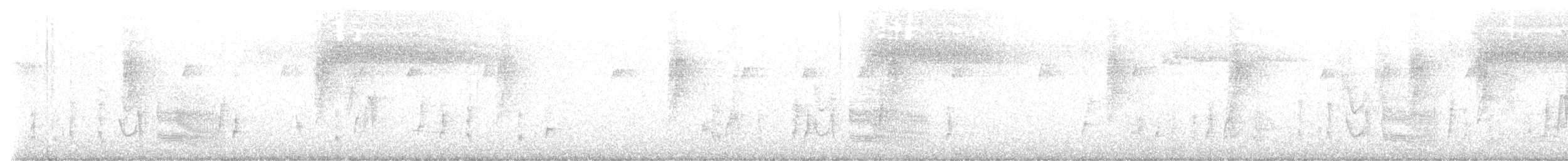 ノドジマコバシチメドリ - ML506460431