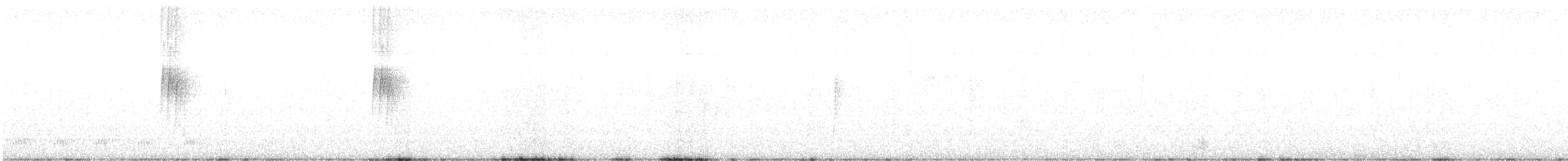 Меднобрюхий эрион - ML506481771