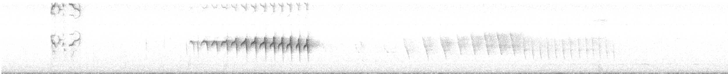 Kurzschwanz-Dickichtschlüpfer - ML506481861