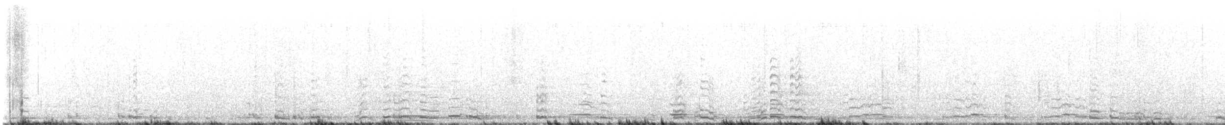 Cygne siffleur (columbianus) - ML506507881