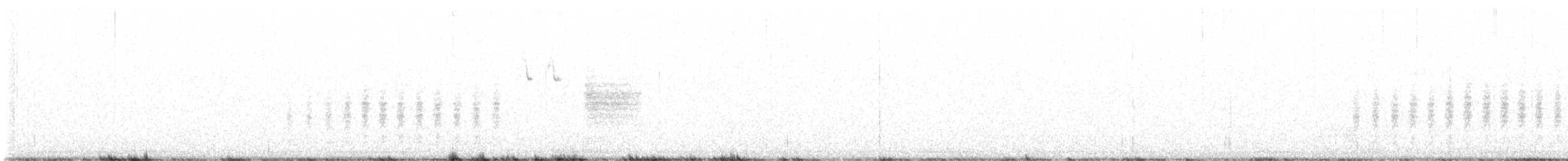 Black-tailed Gnatcatcher - ML506513771