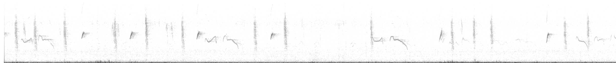 דוחל שחור-גרון - ML506516431