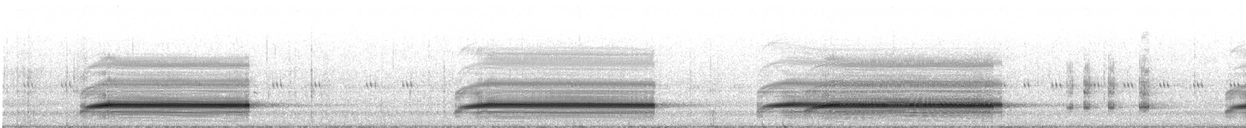 Fowler's Toad - ML506565641