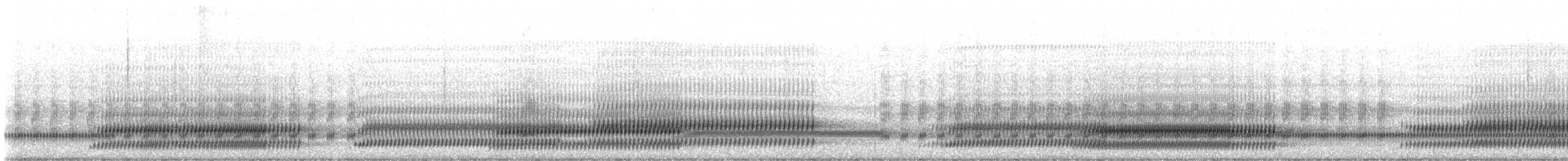 Cope's Gray Treefrog - ML506565731