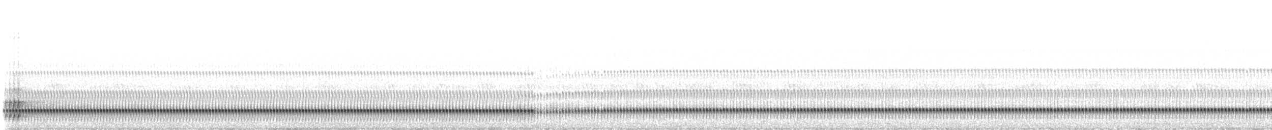 American Toad - ML506565811