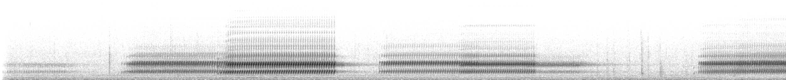 Cope's Gray Treefrog - ML506565891