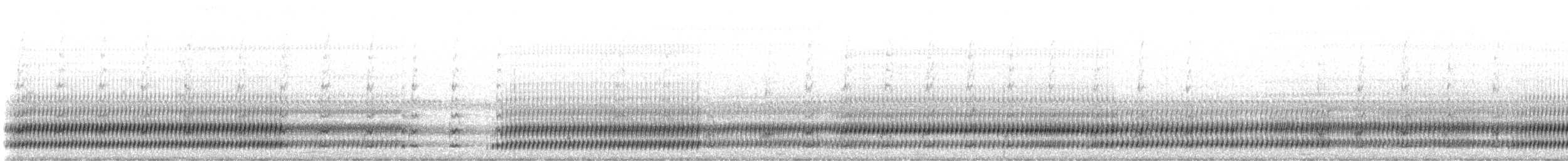 Cope's Gray Treefrog - ML506565931