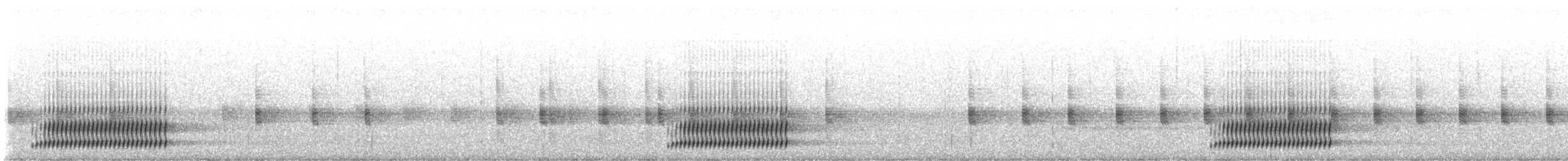 Cope's Gray Treefrog - ML506566011