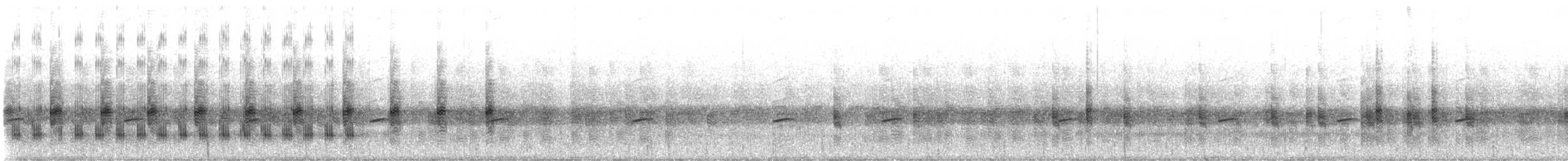 Southern Cricket Frog - ML506566051