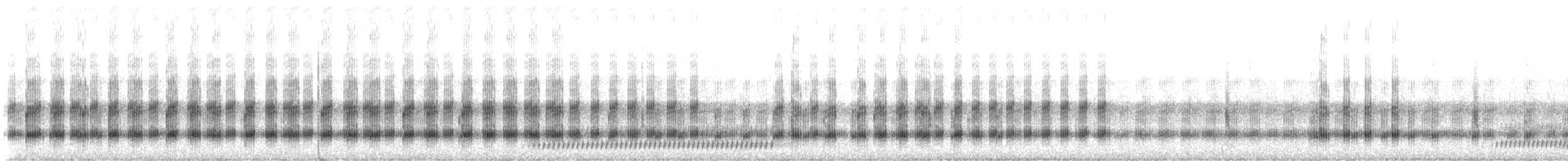 Pine Woods Tree Frog - ML506566161