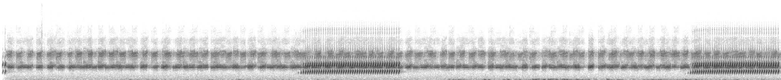 Cope's Gray Treefrog - ML506566241