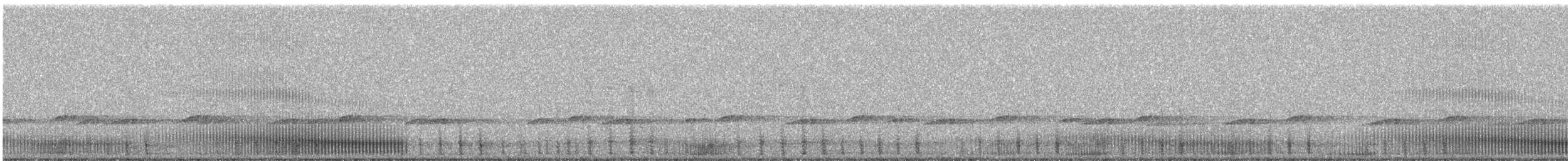 Pickerel Frog - ML506566271