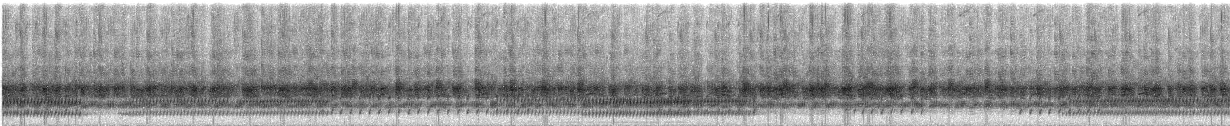 Cope's Gray x Pine Woods Treefrog (hybrid) - ML506567151